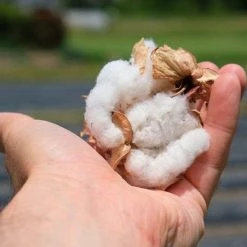 Samurai Jeans SWS-SC01 Japanese Cotton Sweatshirt Kuromane