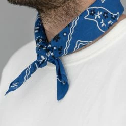 TCB Cat Bandana Blue
