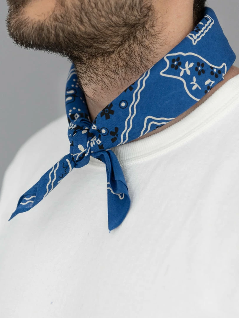 TCB Cat Bandana Blue 4 TCB Cat Bandana Blue