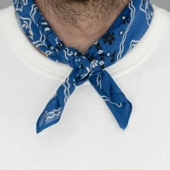 TCB Cat Bandana Blue 10 TCB Cat Bandana Blue
