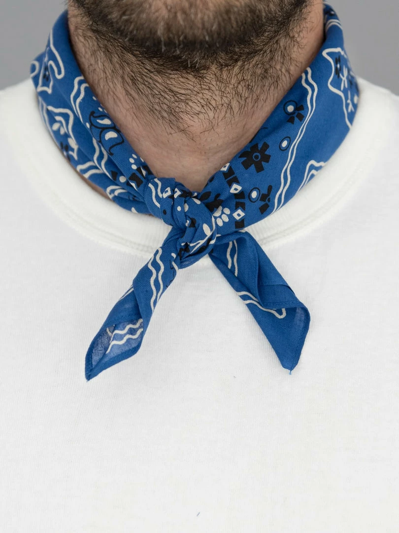 TCB Cat Bandana Blue 5 TCB Cat Bandana Blue