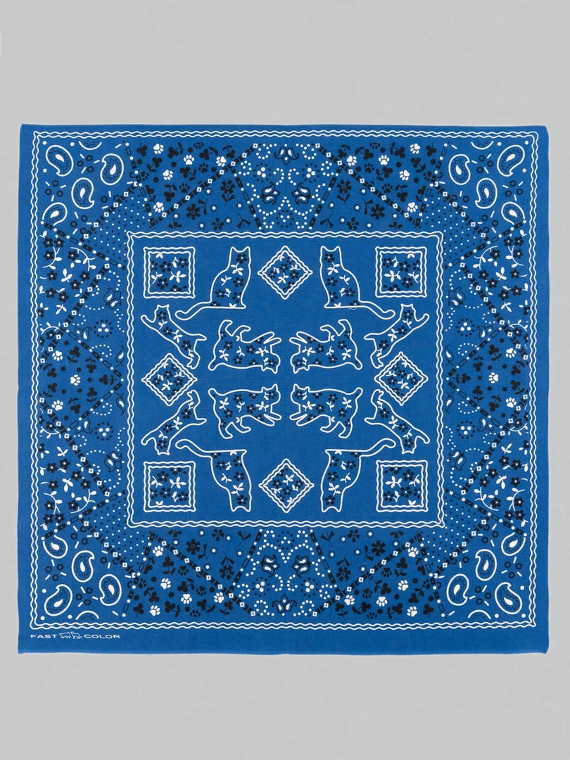 TCB Cat Bandana Blue 3 TCB Cat Bandana Blue