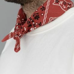 TCB Cat Bandana Red