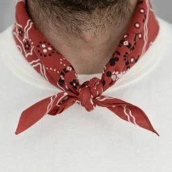 TCB Cat Bandana Red